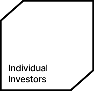 Individual  Investors