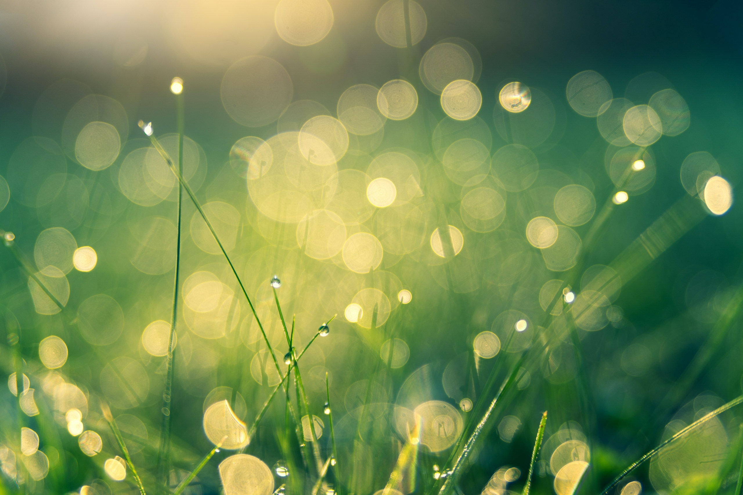 A Conversation with Change Finance: The First-Ever Certified Carbon Neutral Fund
